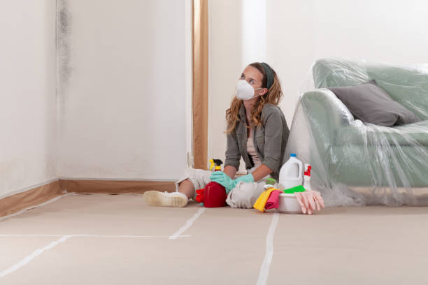 Reliable Mold Removal contractor in Arlington, WA by Mold Remediation HQ